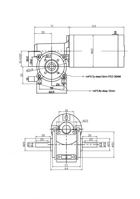 Worm Gear